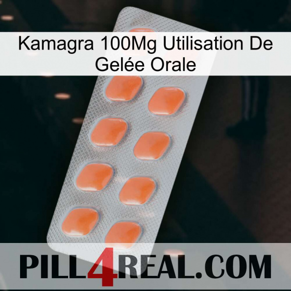 Kamagra 100Mg Utilisation De Gelée Orale 26.jpg